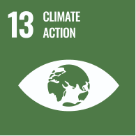icona SDG 13