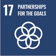 icona SDG 17